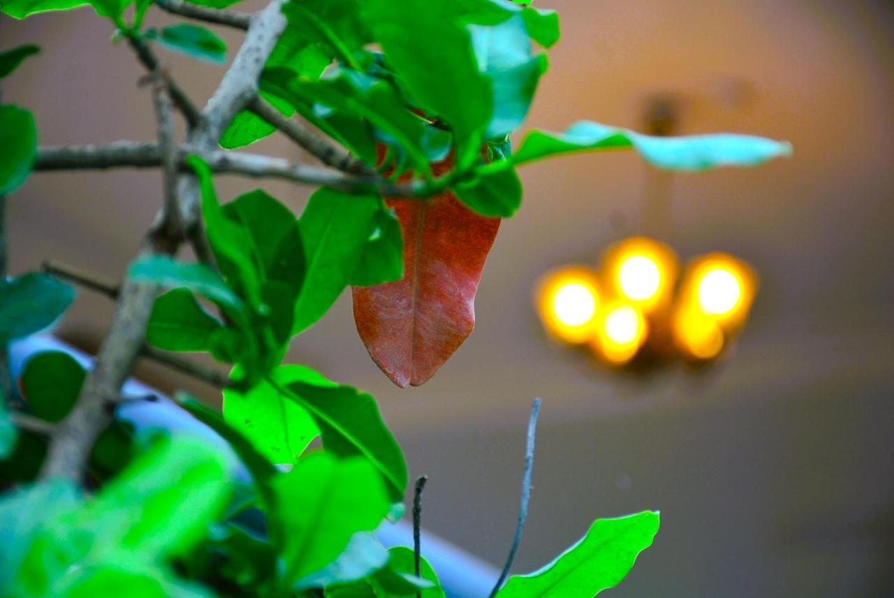 Malaiya Homestay - Grandeur Living Experience Jabalpur Ngoại thất bức ảnh